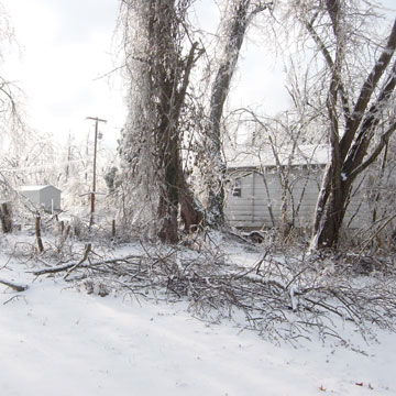 Buddy's Property