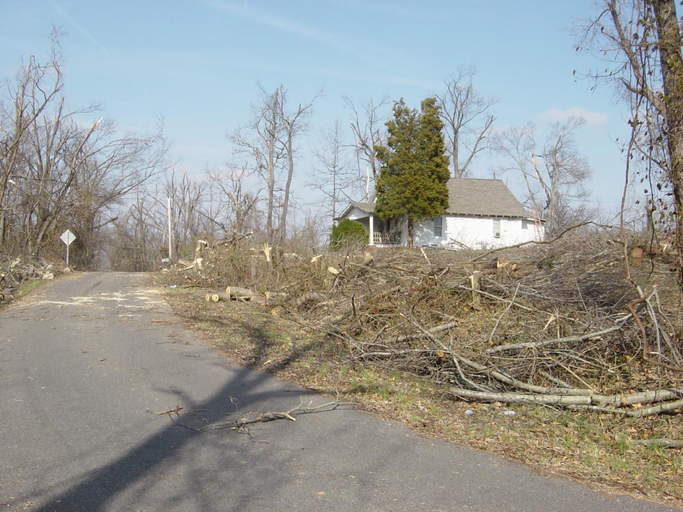Looking East on Davis