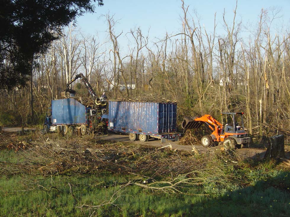 Debris Removal Crew and Equipment