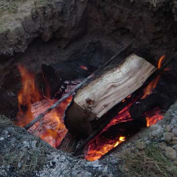 Hickory Flame