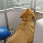 back to Day on the Lake V