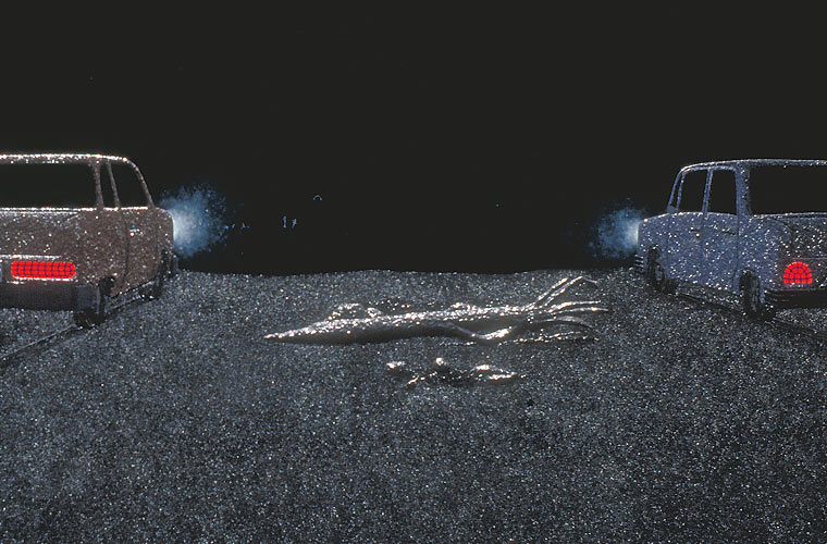 Detail of cars right and driftwood