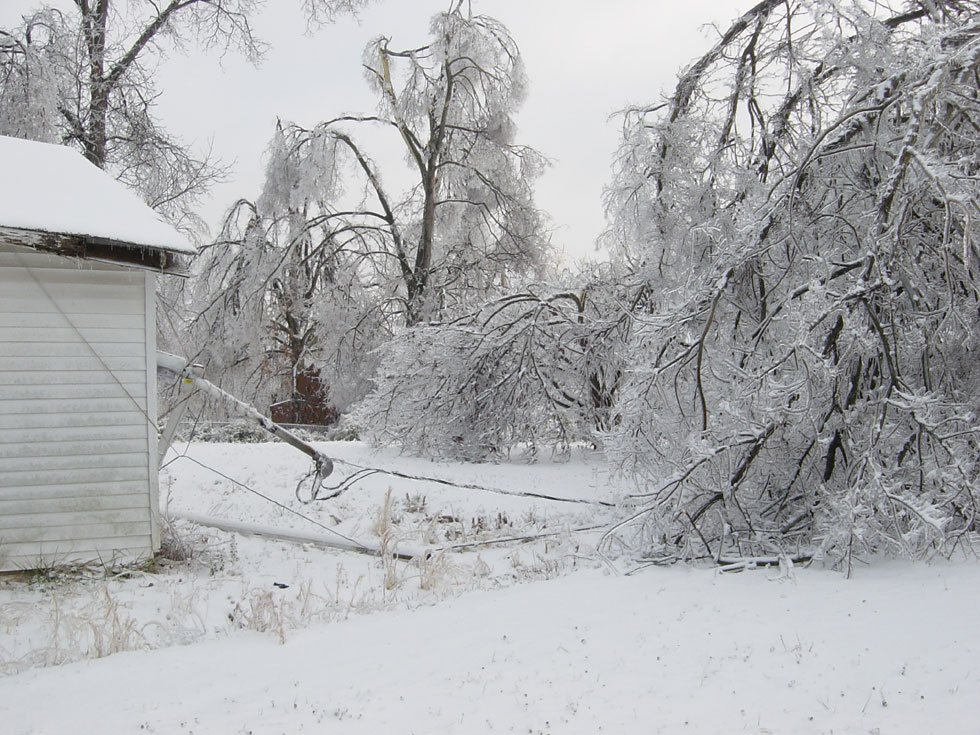 Large Limb Down (right)