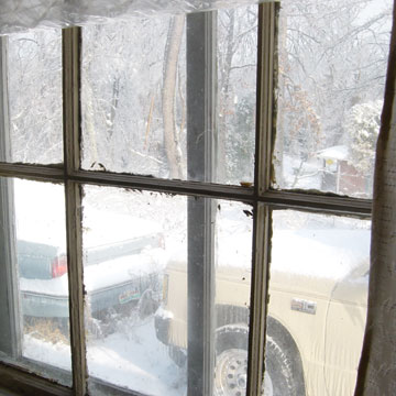 View Out TV Room Window