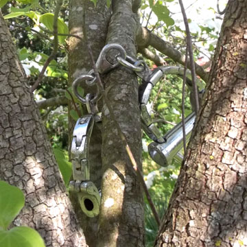 Unusual Cuffs