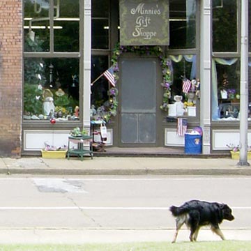 Minnie's Gift Shoppe