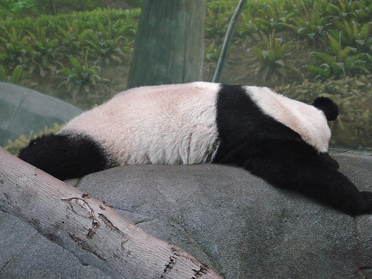Naptime