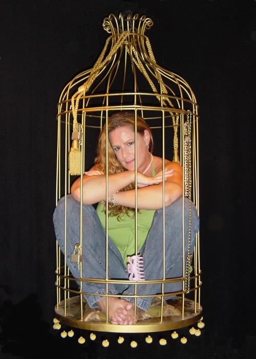 Lovely Captive