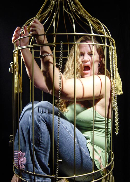 Let Me Out!