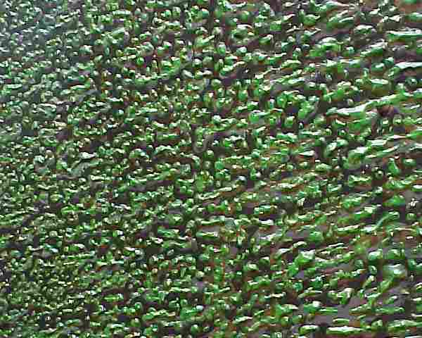 5/8/01-- Car Series, Ice Castle (detail)