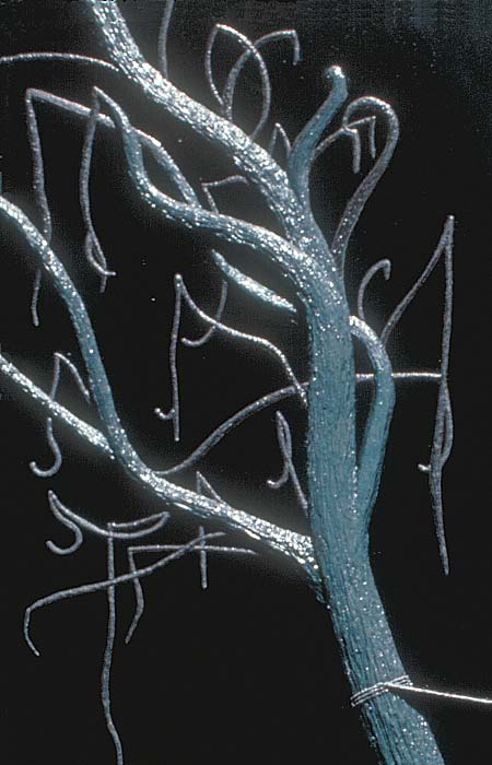 Detail of the left tree