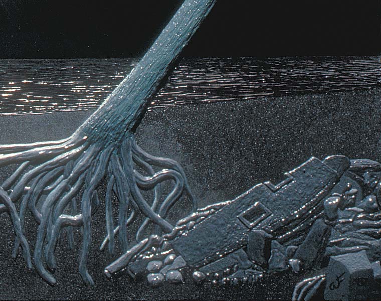Detail of tree roots and rubble pile