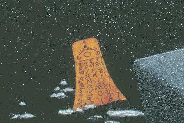 Detail of foreground plate
